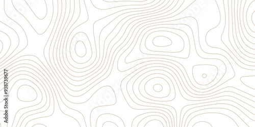 Abstract wave paper curved reliefs background .gradient multicolor wave curve lines banner background design .topographic contours map background .Vector geographic contour map.	