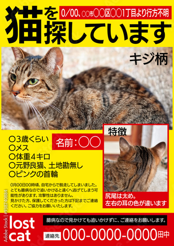 迷子猫 ポスター アウトラインなし テンプレート