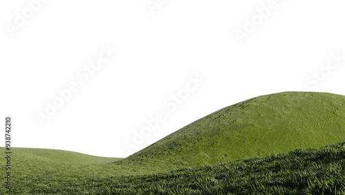 nature grass meadow land lush greenery landscape lawn isolated background.