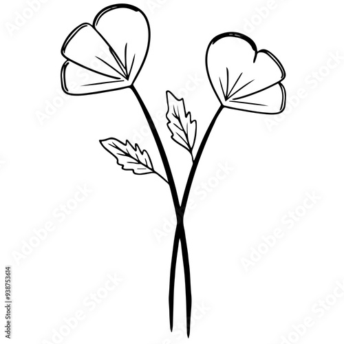 flower illustration