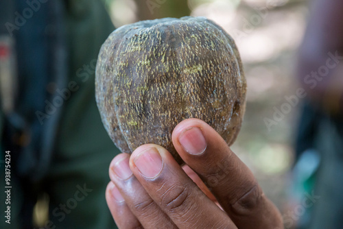 Принти на полотні Africa, Uganda, Kibale Forest National Park