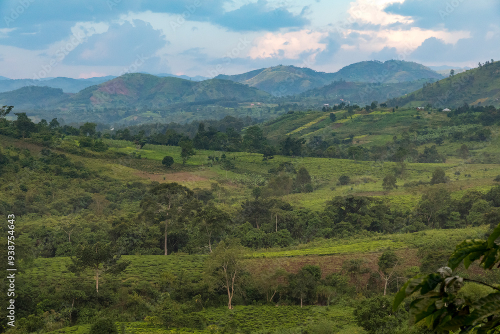 Obraz premium Africa, Uganda, Ishasha, Queen Elizabeth National Park. Territorial view near Mweya and Mweya Safari Lodge. 2016-08-04
