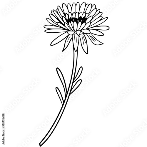 black and white flower