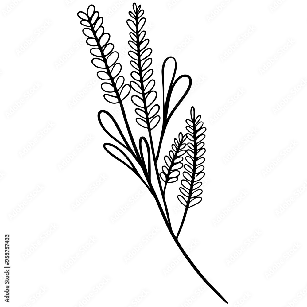 ears of wheat ears of wheat