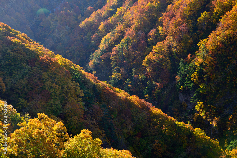 Autumn leaves Jogakura Bridge Aomori Prefecture Japan/紅葉　城ヶ倉大橋　青森県　日本