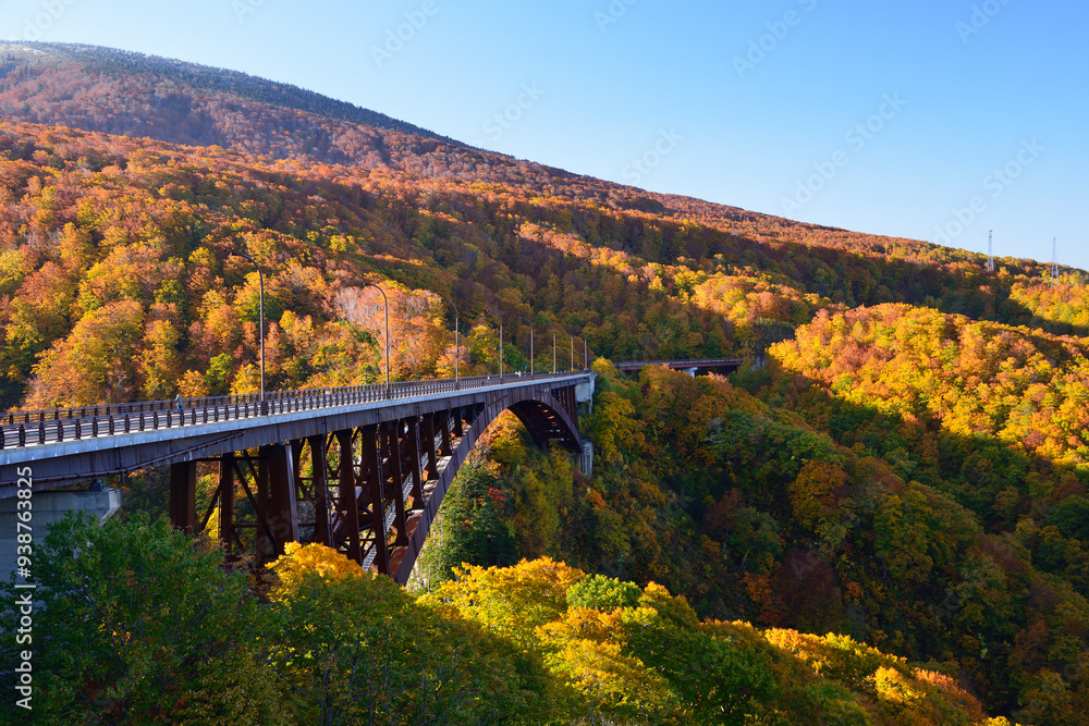 Autumn leaves Jogakura Bridge Aomori Prefecture Japan/紅葉 城ヶ倉大橋 青森県 日本
Autumn leaves Jogakura Bridge Aomori Prefecture Japan/紅葉 城ヶ倉大橋 青森県 日本