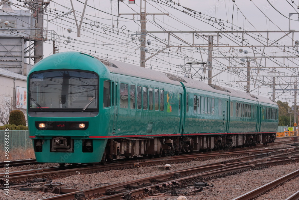 東海道貨物線を走行する485系ジョイフルトレイン「やまなみ」_2010/3/4撮影 東海道貨物線を走行する485系ジョイフルトレイン「やまなみ」_2010/3/4撮影