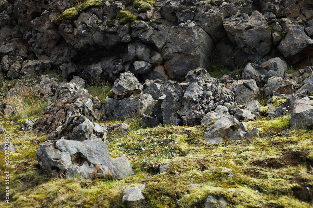 Moss covered lava field in a cloudy day. Iceland Moss covered lava field in a cloudy day. Iceland