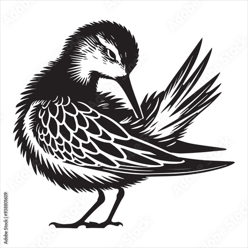 Western Sandpiper  Silhouette, Calidris mauri Clipart, Western Sandpiper preening feathers Illustration in black and white