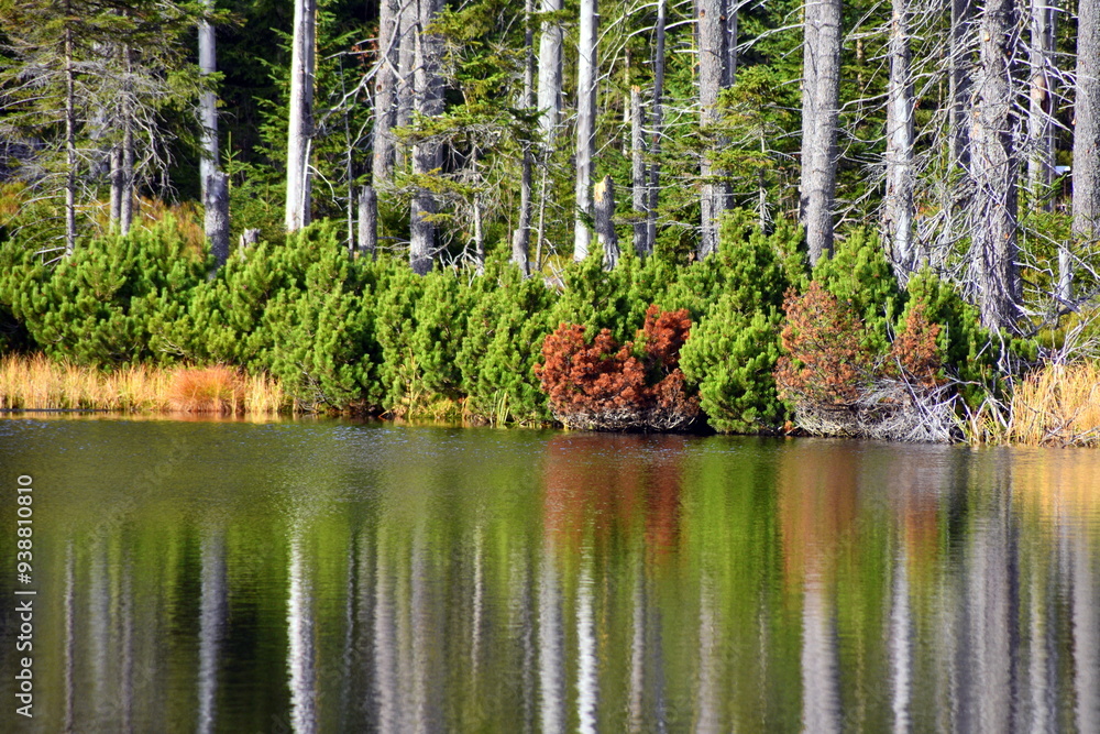 Smreczyński Staw – polodowcowe jezioro morenowe, Tatry Zachodnie, Tatrzański Park Narodowy, Kościelisko, Małopolska, Polska, Europa,