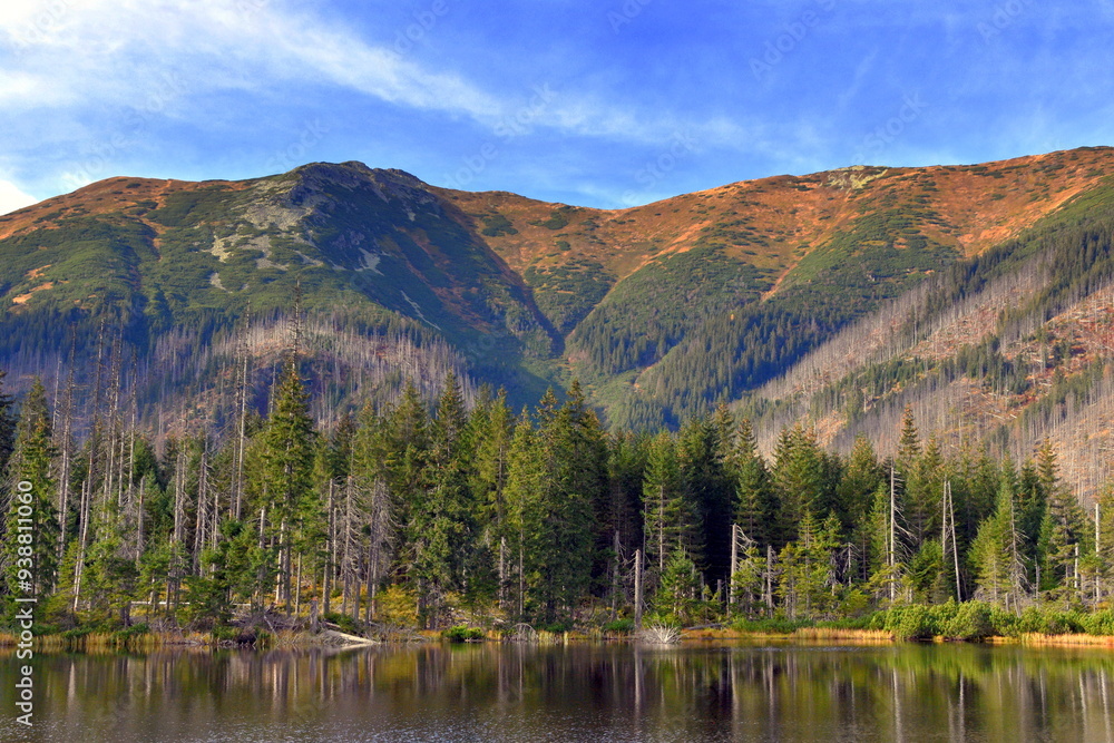 Smreczyński Staw – polodowcowe jezioro morenowe, Tatry Zachodnie, Tatrzański Park Narodowy, Kościelisko, Małopolska, Polska, Europa,