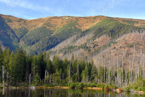 Smreczyński Staw – polodowcowe jezioro morenowe, Tatry Zachodnie, Tatrzański Park Narodowy, Kościelisko, Małopolska, Polska, Europa,