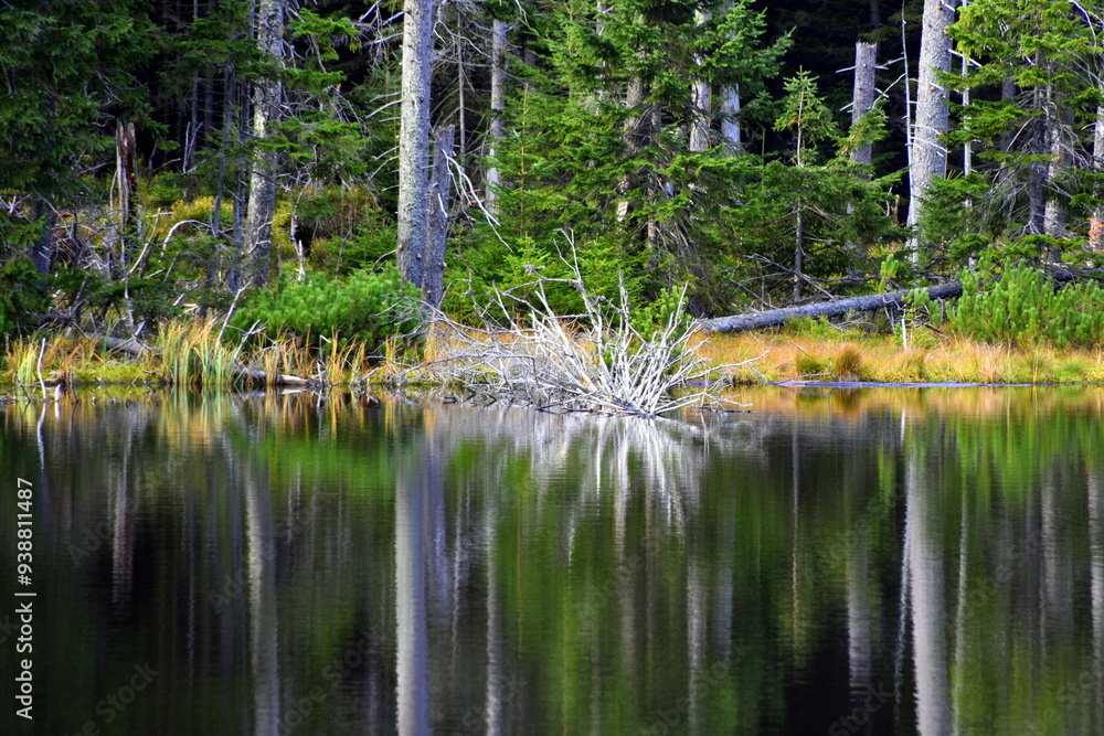 Smreczyński Staw – polodowcowe jezioro morenowe, Tatry Zachodnie, Tatrzański Park Narodowy, Kościelisko, Małopolska, Polska, Europa,