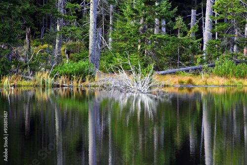 Obraz na płótnie Smreczyński Staw – polodowcowe jezioro morenowe, Tatry Zachodnie, Tatrzański Park Narodowy, Kościelisko, Małopolska, Polska, Europa, w salonie