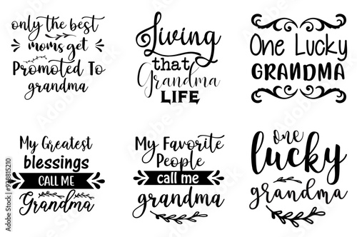 Simple Grandma Invitation, Labels And Badges Set Vector Illustration for Advertising, T-Shirt Design, Decal