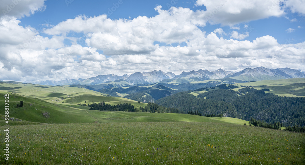 Obraz premium Karajun Grassland in Xinjiang, China during Summer
