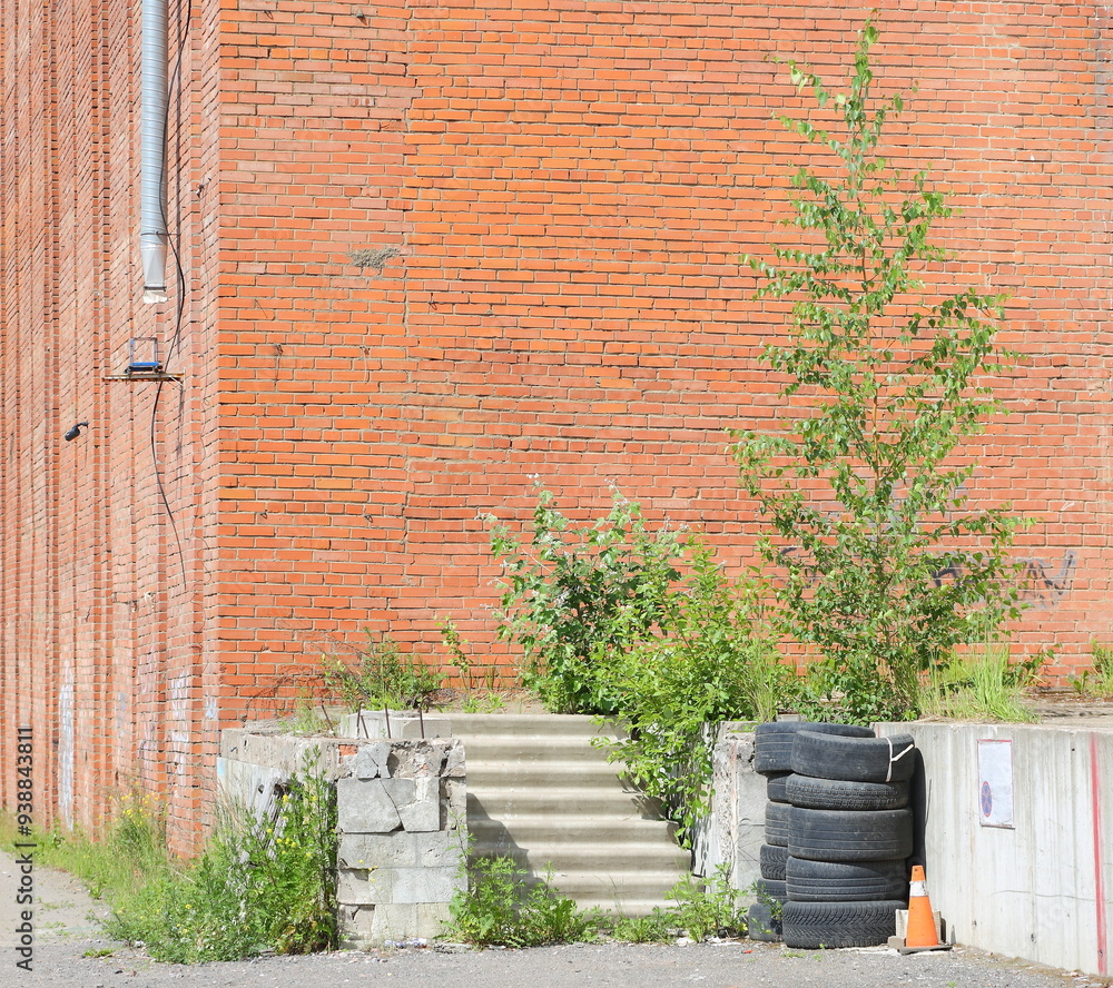 Obraz premium A concrete porch overgrown with grass and trees near a red brick wall