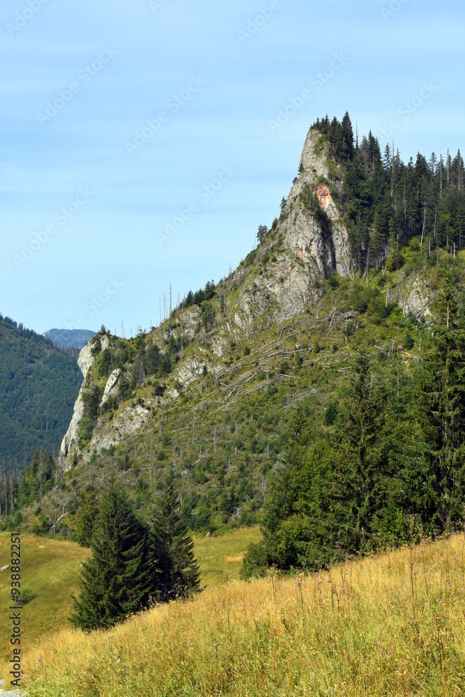 Zawiesista Eljaszowa Turnia, szczyt, Miętusia Polana, Tatry Zachodnie, Tatrzański Park Narodowy, Kościelisko, Małopolska, Polska, Europa,