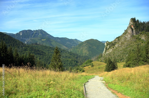 Obraz na płótnie Zawiesista Eljaszowa Turnia, szczyt, Miętusia Polana, Tatry Zachodnie, Tatrzański Park Narodowy, Kościelisko, Małopolska, Polska, Europa, w salonie
