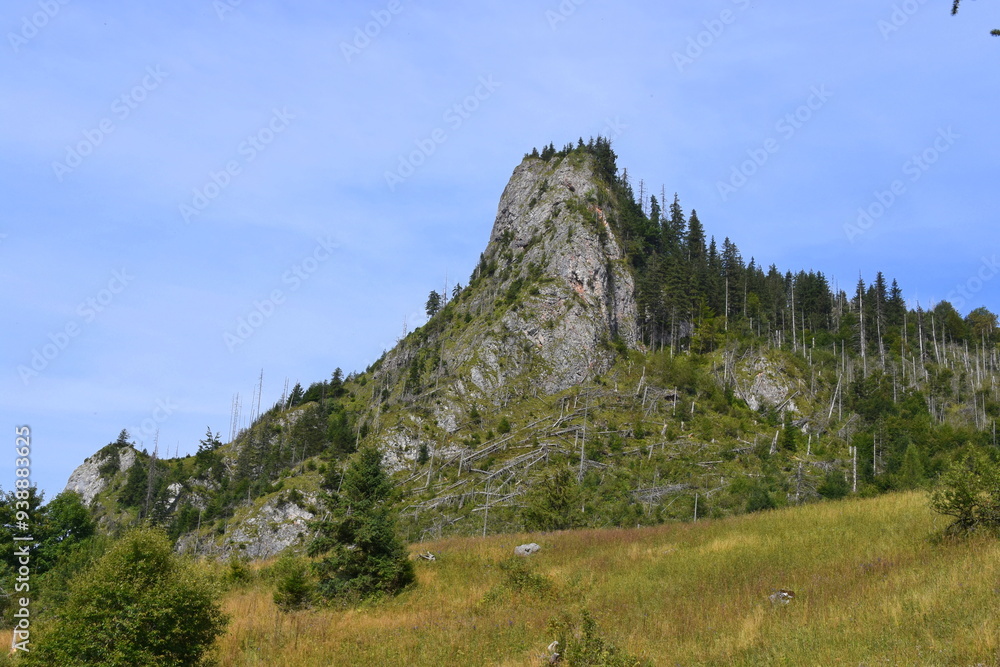 Zawiesista Eljaszowa Turnia, szczyt, Miętusia Polana, Tatry Zachodnie, Tatrzański Park Narodowy, Kościelisko, Małopolska, Polska, Europa,