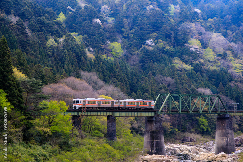 落ち着きがありながらも華やかな森を背景を第2益田川橋梁を渡る高山本線
