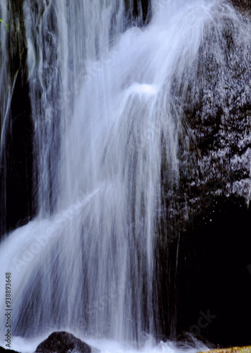 Wandern im Schwarzwald