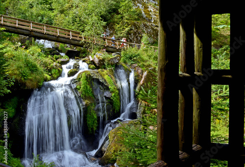 Wandern im Schwarzwald photo