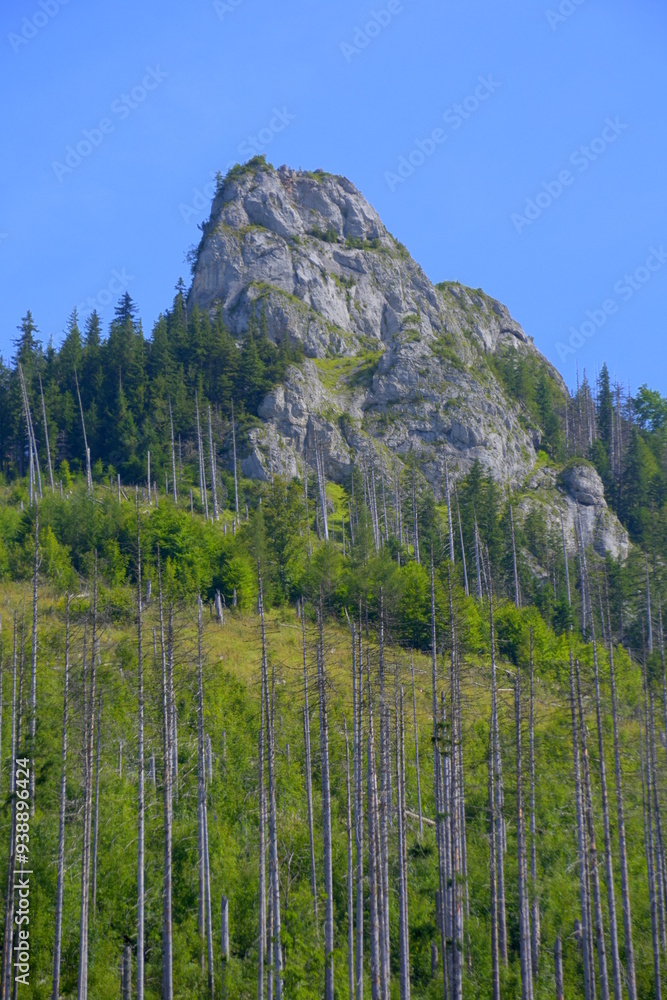 Kończysta Turnia, szczyt, Tatry Zachodnie, Tatrzański Park Narodowy, Kościelisko, Małopolska, Polska, Europa,