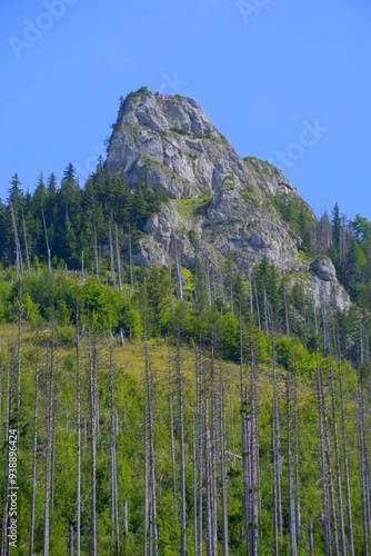 Obraz na płótnie Kończysta Turnia, szczyt, Tatry Zachodnie, Tatrzański Park Narodowy, Kościelisko, Małopolska, Polska, Europa, w salonie