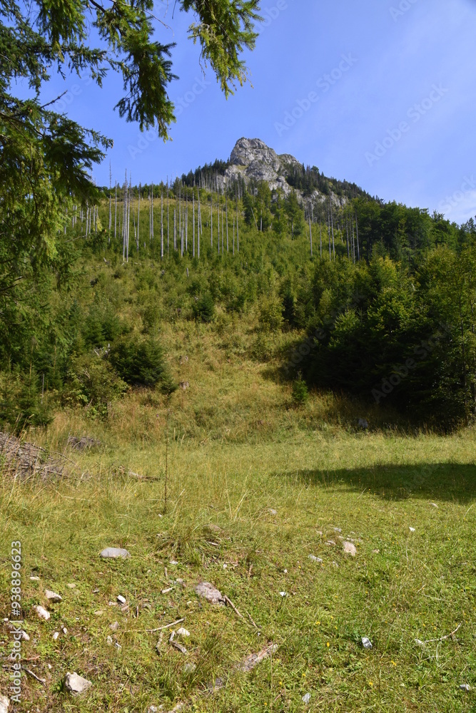 Kończysta Turnia, szczyt, Tatry Zachodnie, Tatrzański Park Narodowy, Kościelisko, Małopolska, Polska, Europa,