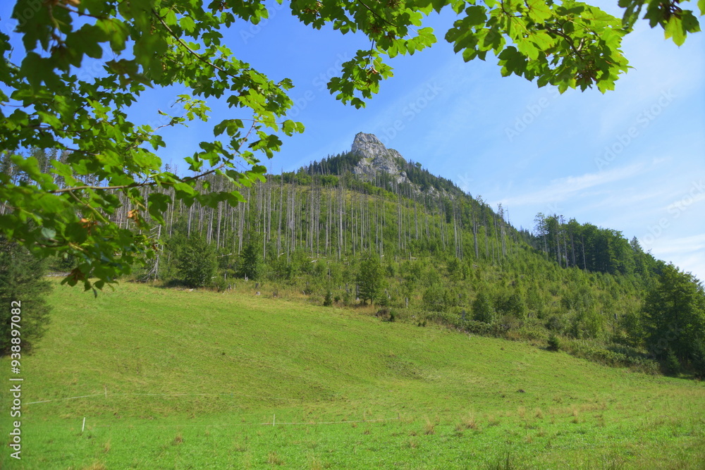 Kończysta Turnia, szczyt, Tatry Zachodnie, Tatrzański Park Narodowy, Kościelisko, Małopolska, Polska, Europa,