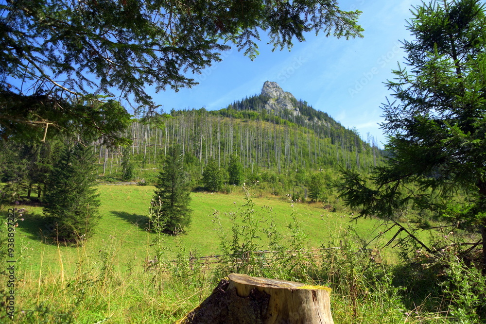 Kończysta Turnia, szczyt, Tatry Zachodnie, Tatrzański Park Narodowy, Kościelisko, Małopolska, Polska, Europa,