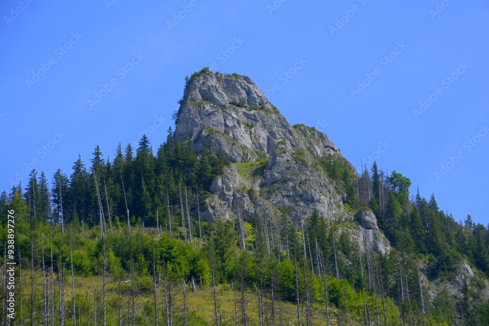 Kończysta Turnia, szczyt, Tatry Zachodnie, Tatrzański Park Narodowy, Kościelisko, Małopolska, Polska, Europa,