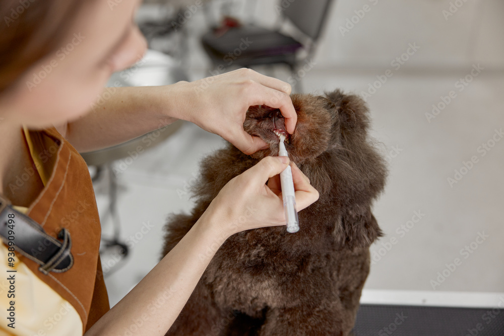 Vet specialist cleaning and whitening dog teeth with brush Vet specialist cleaning and whitening dog teeth with brush