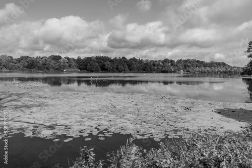 Essen und der Baldeneysee im Ruhrgebiet photo