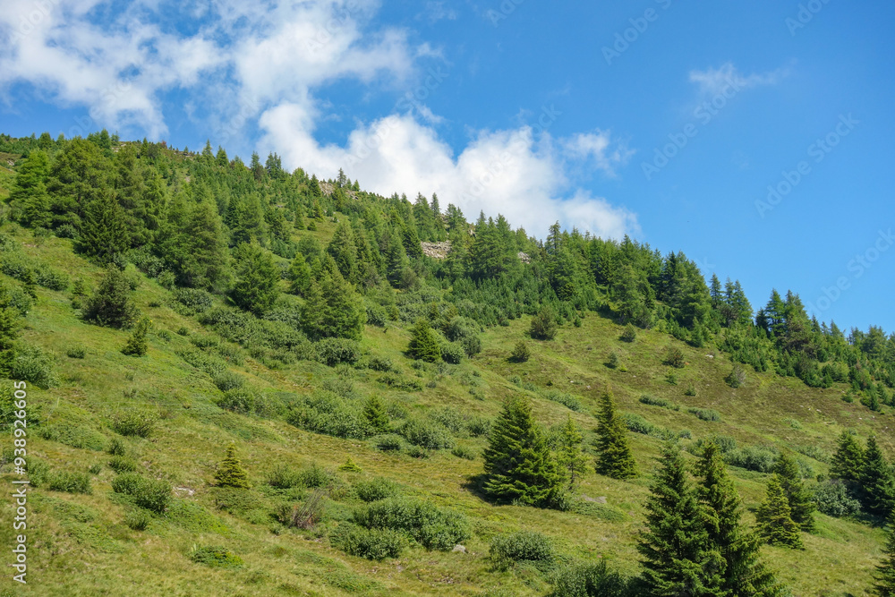 Obraz premium Wandern in den österreichischen Alpen