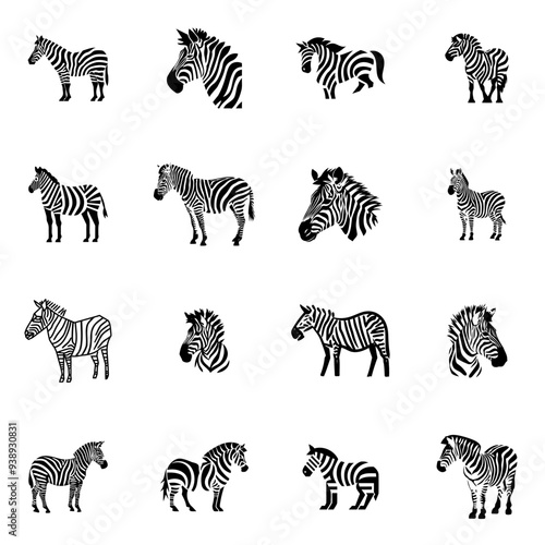 Set of Zebra Logo Design Vector