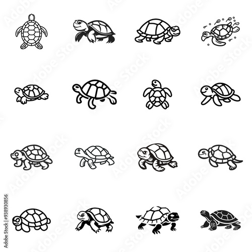 Set of Turtle Logo Design Vector