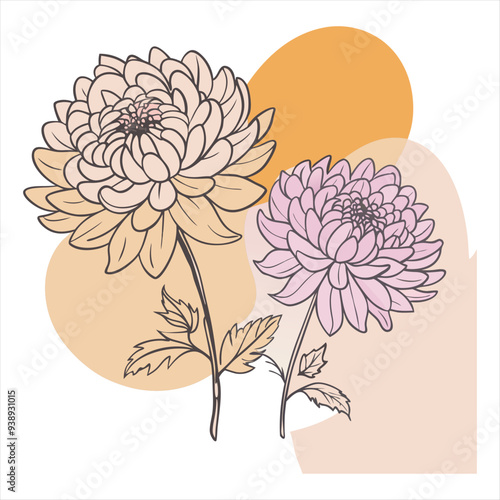 chrysant, flower, spring, bloom, yellow, petals, nature, garden, botany, plant, blossom, flora, horticulture,ai generated, fragrance, sunshine, bulb, meadow, easter, landscape, fresh, outdoor photo