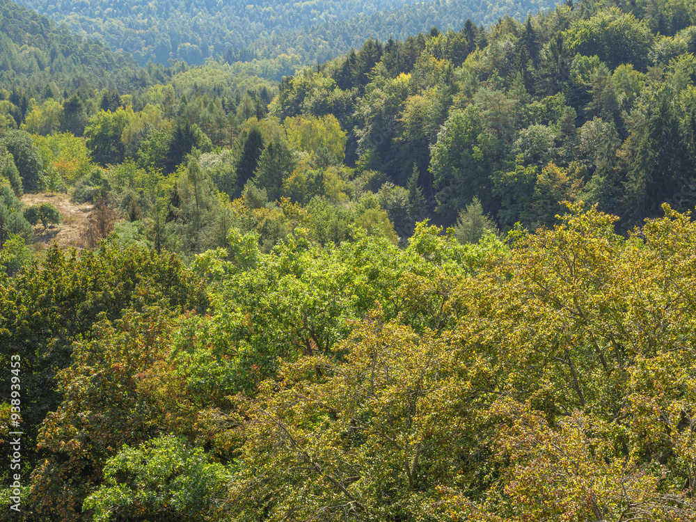 Spätsommer an der südlichen WEinstrasse Spätsommer an der südlichen WEinstrasse