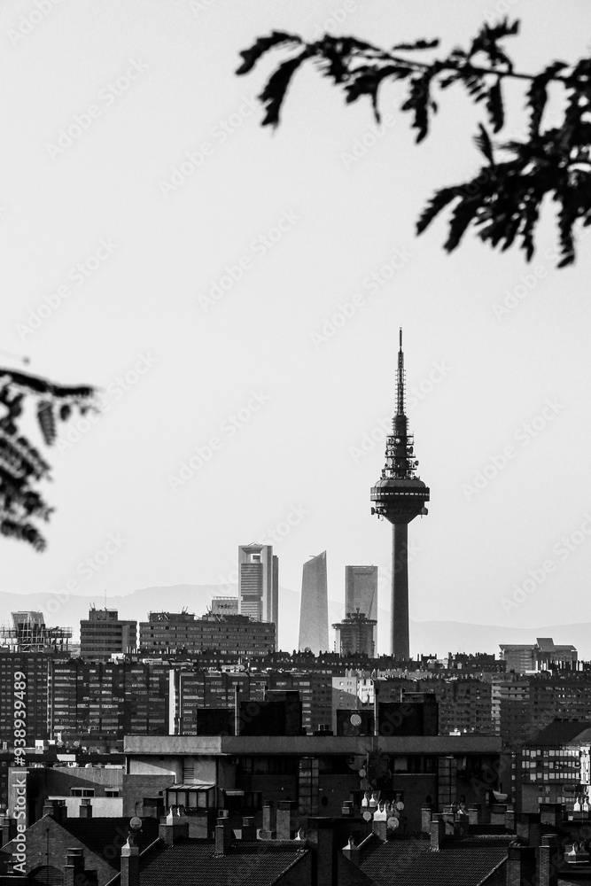 Fototapeta premium Madrid con vistas en blanco y negro