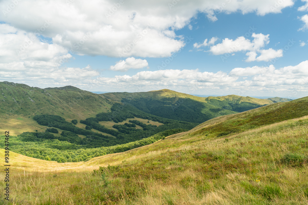 Bieszczady widok na Krzemień i Kopę Bukowską