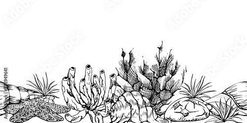 Watercolor and ink hand drawn marine life, sea ocean underwater creatures. fish, shells algae seaweed. Seamless banner illustration, stylized, isolated on white. For zoo shop, aquarium, fabric decor