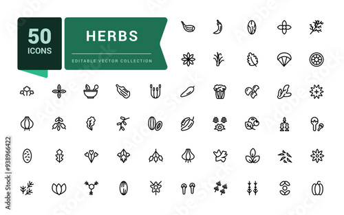 Herbs and spices icon set. Pixel perfect, minimalistic web and UI icon. Outline icons collection. Editable vector illustration.