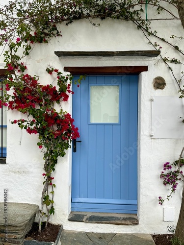 Old house door with flowers