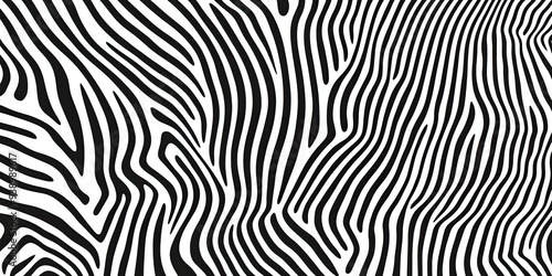 Abstract Zebra Stripes Pattern on Black and White Background