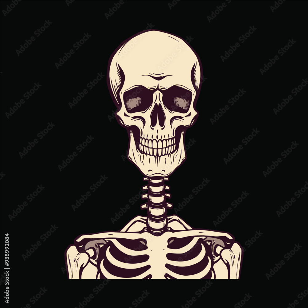 Front View Skull and Upper Skeleton Illustration Front View Skull and Upper Skeleton Illustration