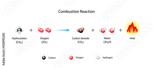 Combustion reaction. Chemical reaction. Hydrocarbon and oxygen reaction to produce carbon dioxide, water and heat. Experiment explanation. Scientific vector illustration.