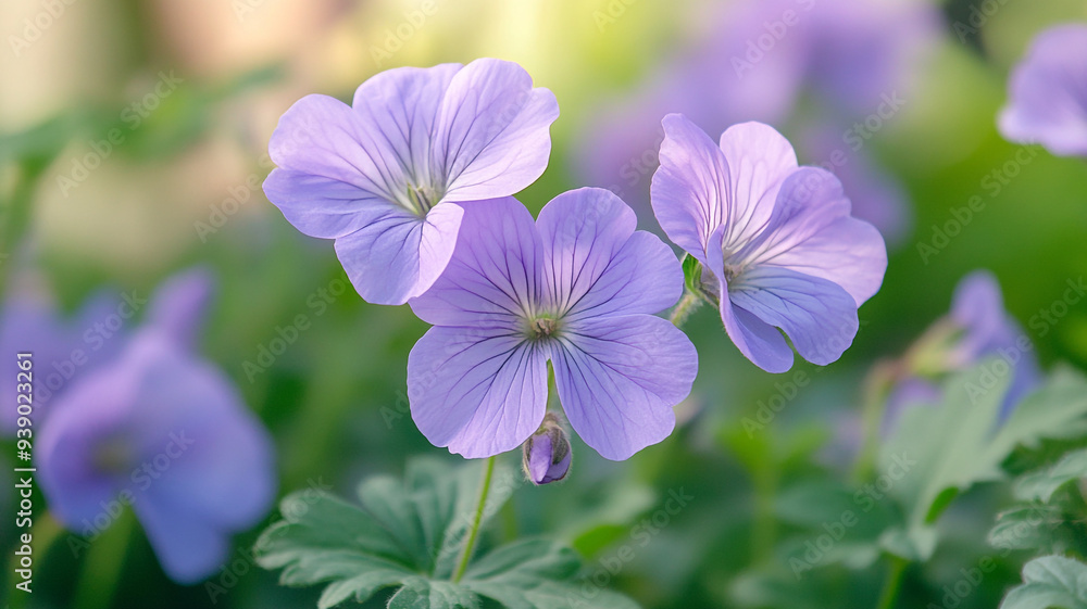 Delicate purple flowers bloom gracefully in a sunlit garden, showcasing nature's vibrant beauty and intricate details during spring Delicate purple flowers bloom gracefully in a sunlit garden, showcasing nature's vibrant beauty and intricate details during spring