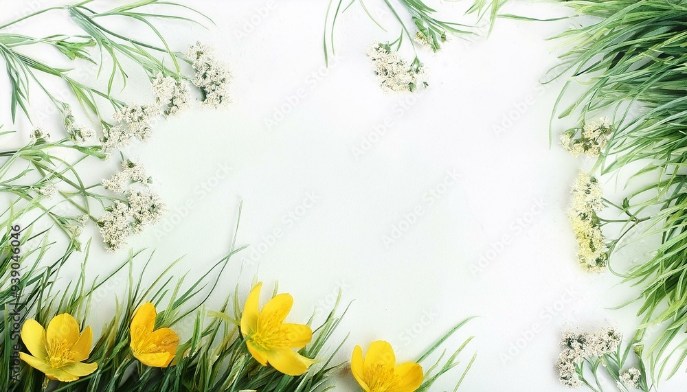 grass background grass background